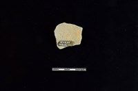 陶片藏品圖，第2張